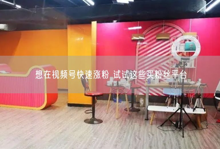 想在视频号快速涨粉 试试这些买粉丝平台