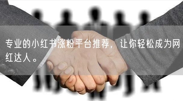 专业的小红书涨粉平台推荐，让你轻松成为网红达人。